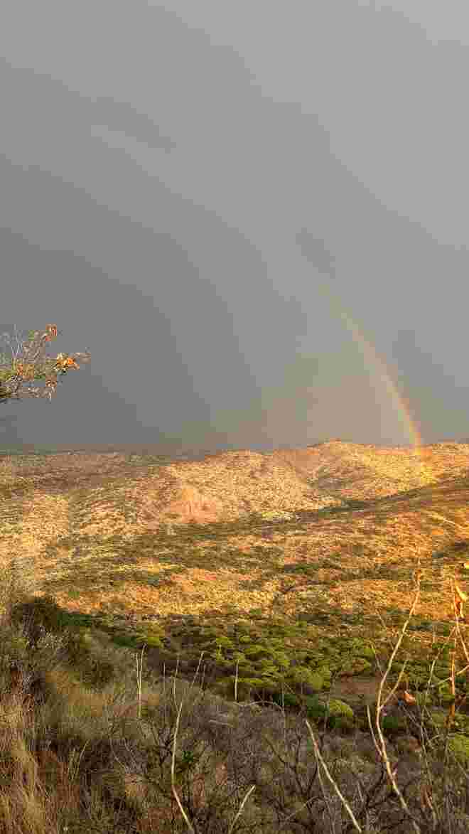 golden hour nach Regenguss