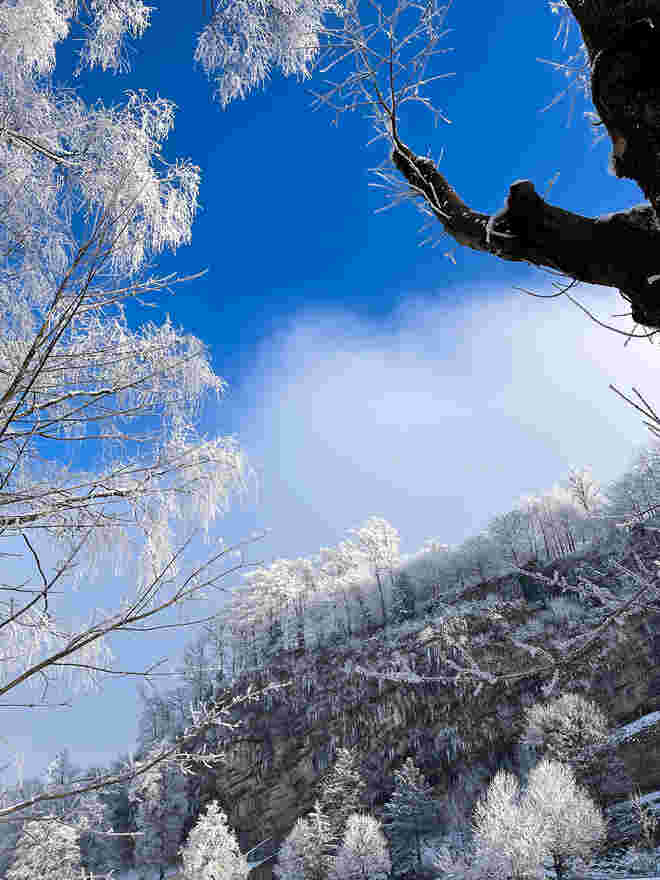 Blauer Himmel übern Hellbrunner Berg