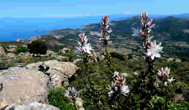 Blick auf die Balagne