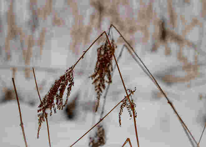 Tiefer Winter