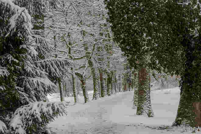 Der Winter ist zurück...
