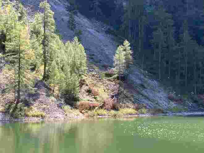 Licht- Schattenspiel am See