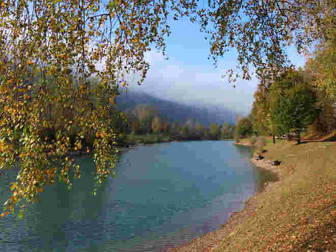 Goldvorhang