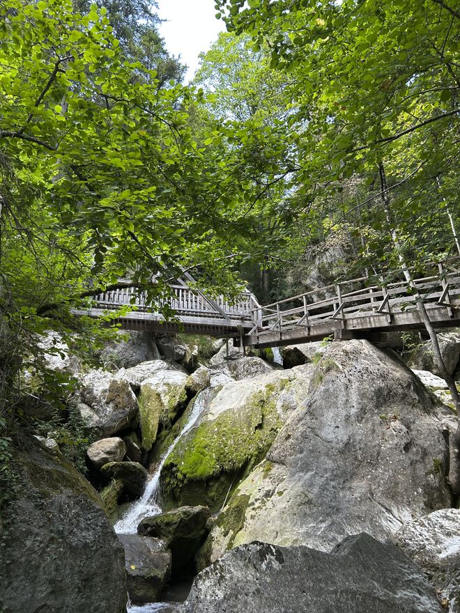 Myrafälle in Muggendorf