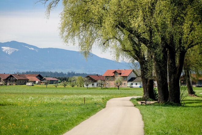 Frühling am Abstdorfer See