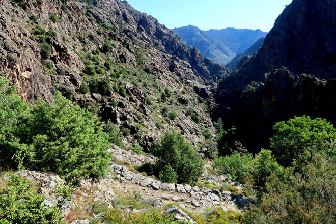 Auf Maultierpfaden unterwegs