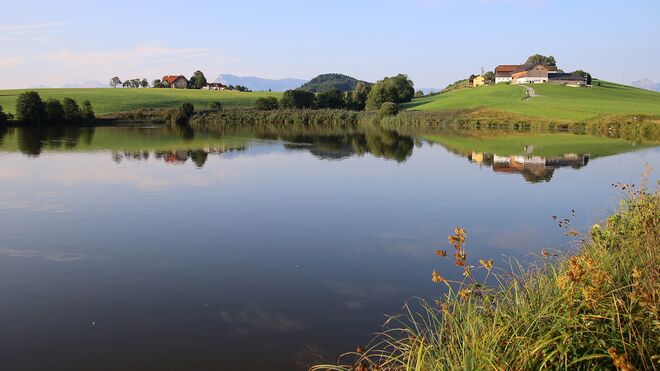 Winding am Raggingersee