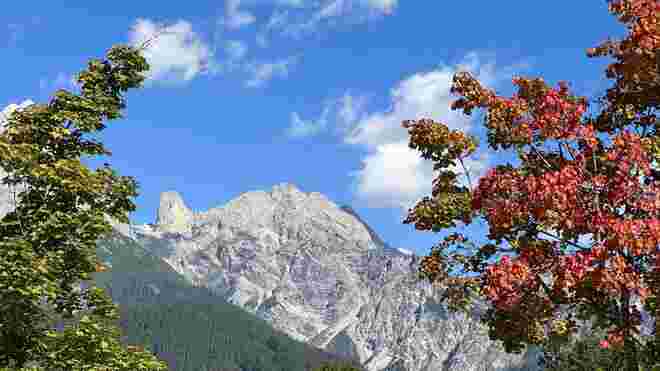 Herbstgenuss !