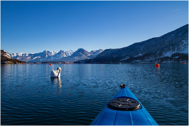 Ungläubige Blicke...