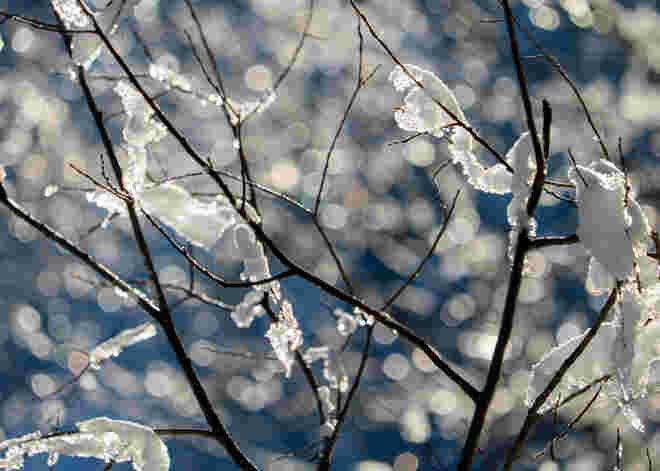 Sonne und Schnee...