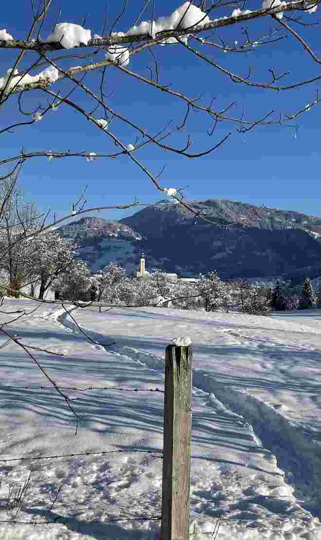 Winterlandschaft 