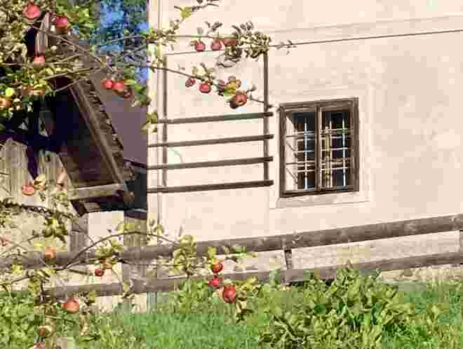 …und im Ende keimt ewig ein Anfang…