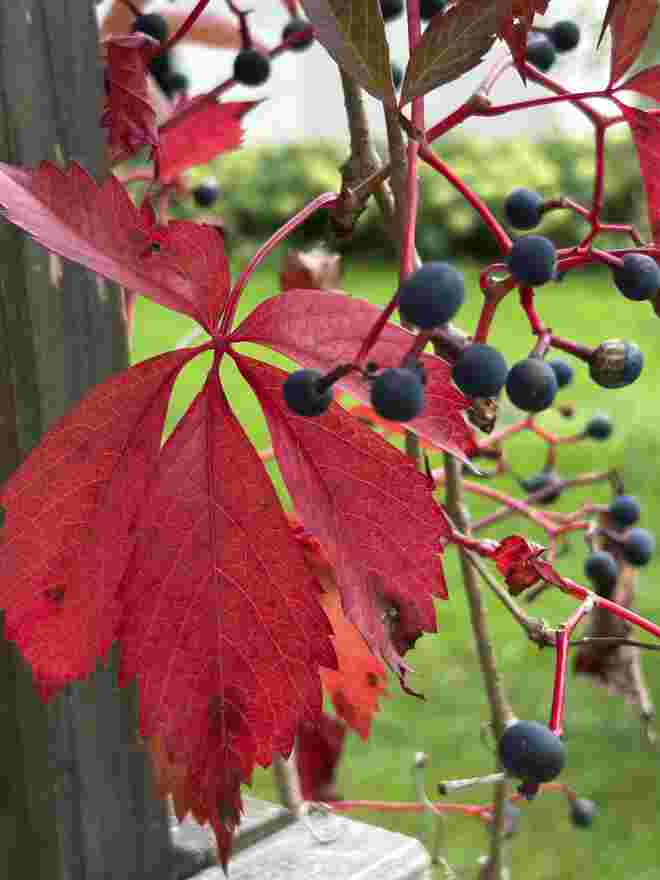 Tolle Farben