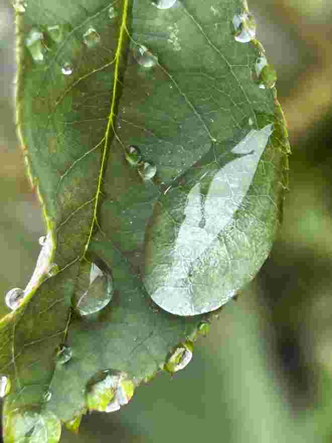Reise eines Wassertropfens