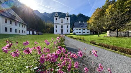 Ein besonderer Kraftplatz !