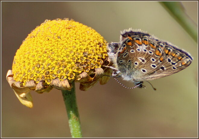 * meteorologischer Herbstbeginn *