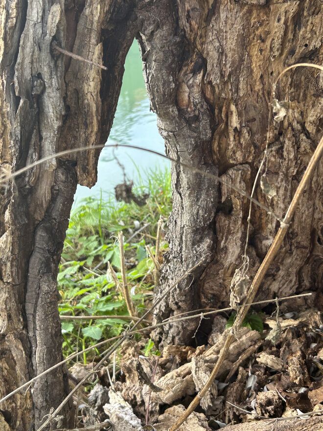 Durchblick zum Almkanal 