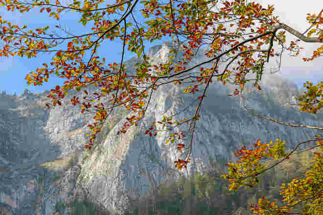 Bunter Herbst...
