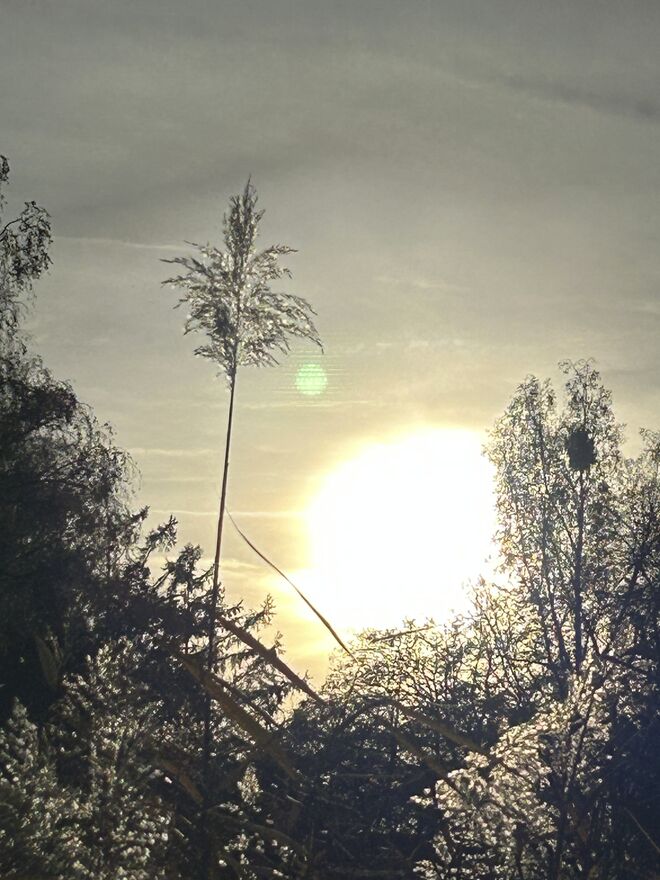 Sunset beim Altersheim Nonntal