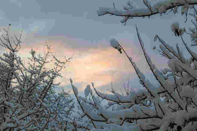Winterstimmung...