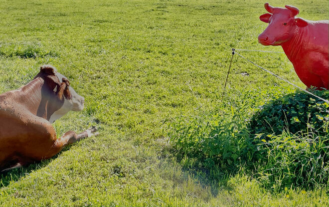 Friedlich nebeneinander