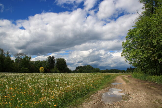 Ein wenig heiter nach dem Regen