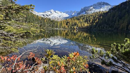 Naturjuwel Reedsee !