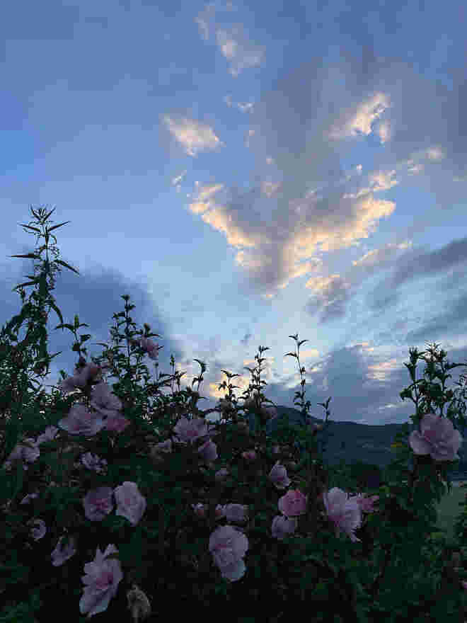 Morgenstimmung