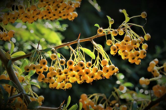 Die Septembersonne genießen 