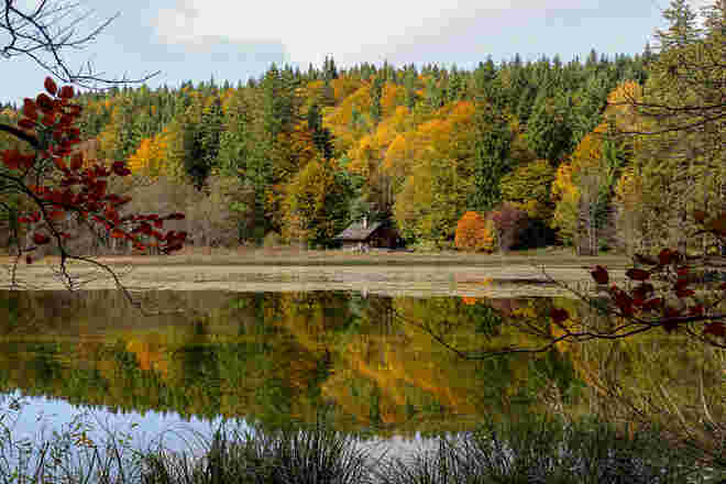 Kleines Haus am See