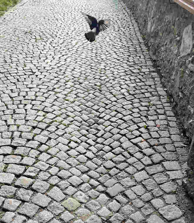 Der Weg ist gepflastert