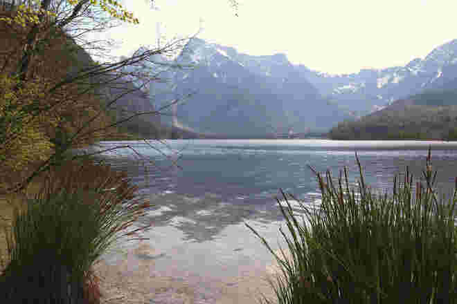 Blick über den Almsee