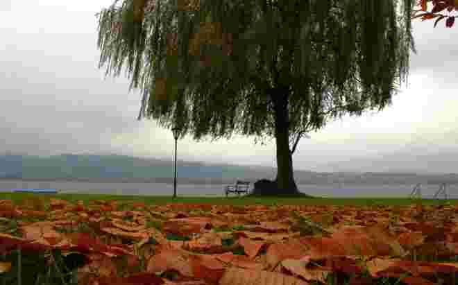 Novemberfarben am See