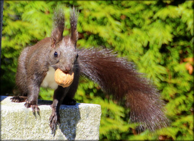 * schnell ein Sonnenfenster nutzen *