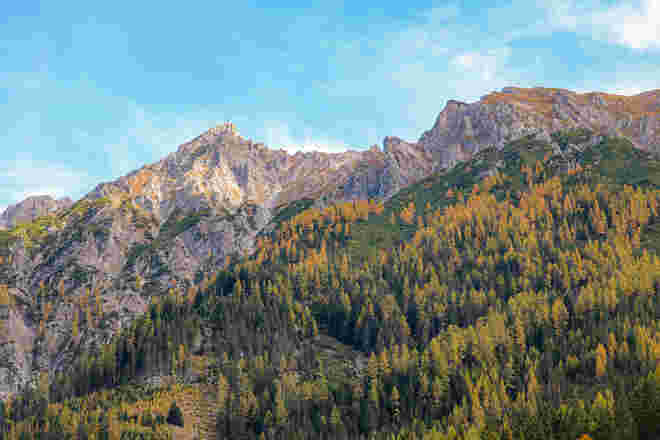 Bunter Herbst