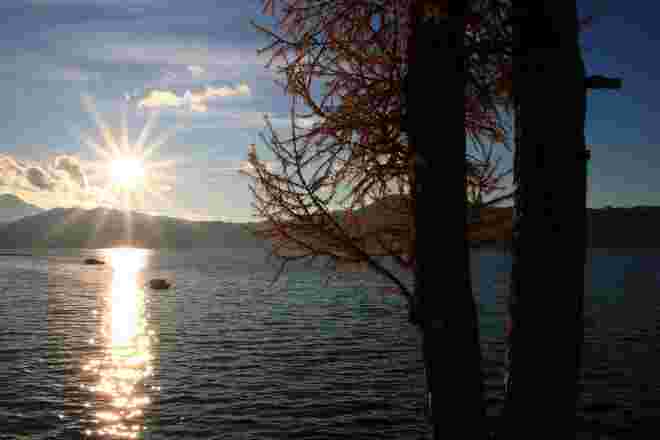 Lärchenleuchten am Attersee
