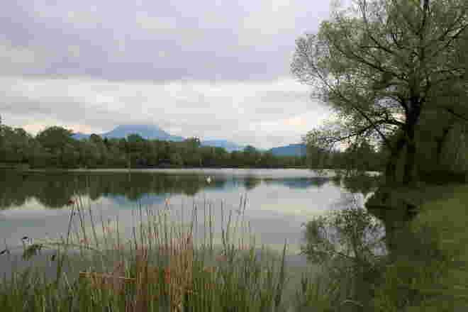 Impression von den Salzachseen 