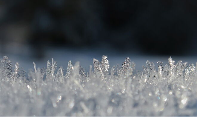 Schneekristalle