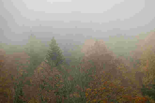 Manchmal gibts im Herbst auch eine Nebelsuppe...