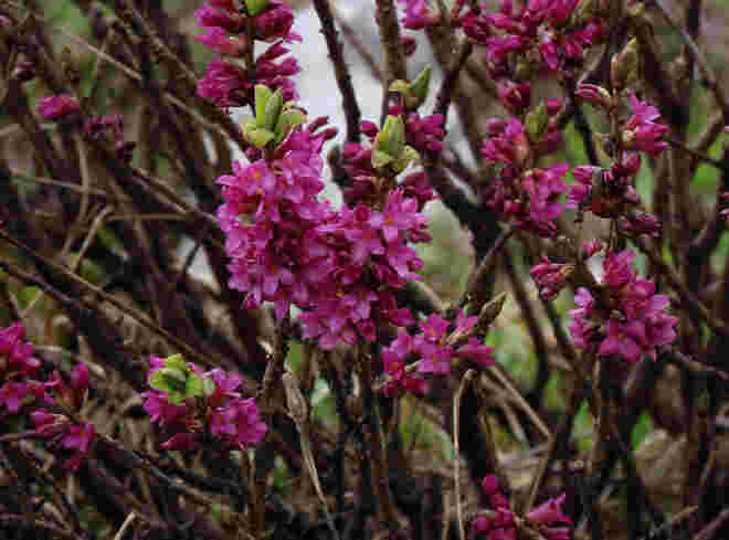 Zurück in den Frühling