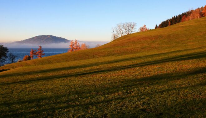 Novemberlicht und -schatten