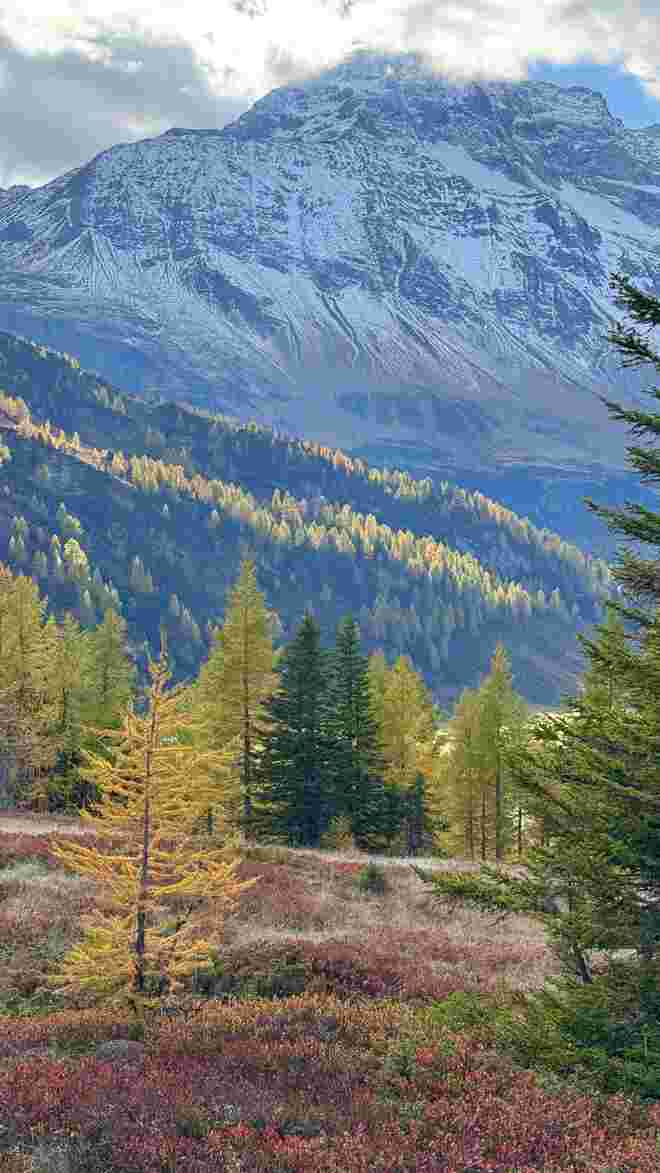 Indian Summer
