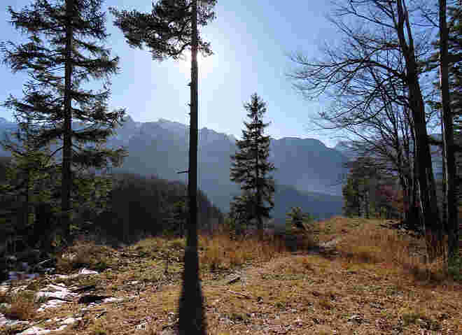 Mildes Novemberlicht