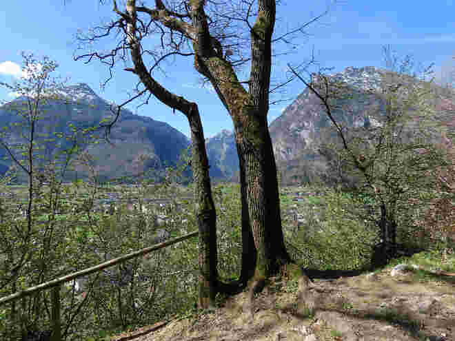Kratzspitze und Kleiner Göll
