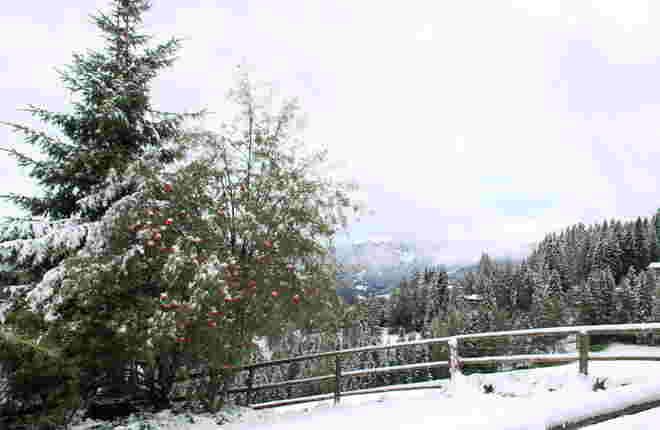 Überraschung heute morgen - Schnee bis auf 1300m