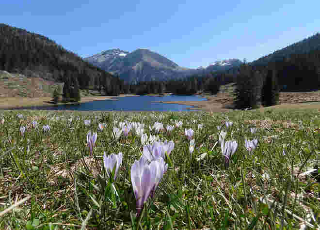 Es wird wieder Frühling