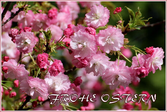 * allen ein schönes Osterfest *