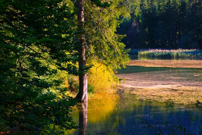 Die ersten Herbstfarben am Taferlklaussee