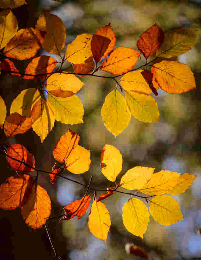 so bunt...