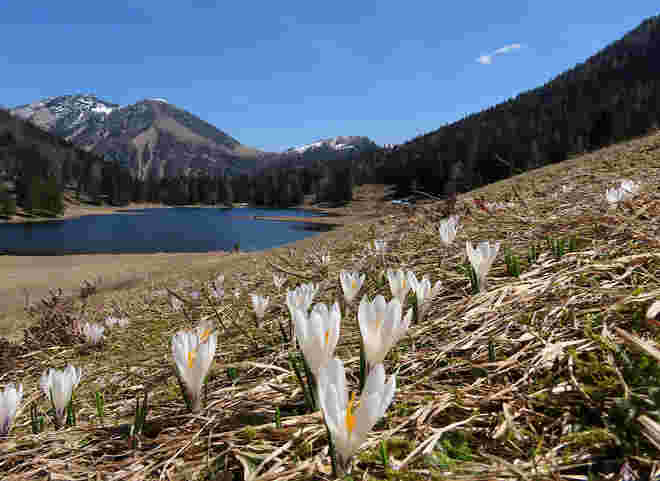 Ganz in Weiß